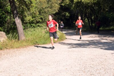 Agrandir l'image 22 sur 362, fenêtre modale
