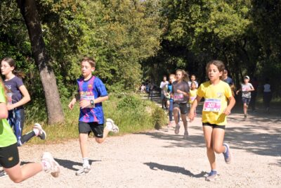Agrandir l'image 11 sur 362, fenêtre modale