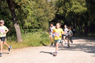 Agrandir l'image 14 sur 362, fenêtre modale