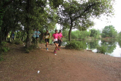 Agrandir l'image 8 sur 24, fenêtre modale