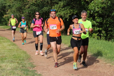 Agrandir l'image 31 sur 40, fenêtre modale