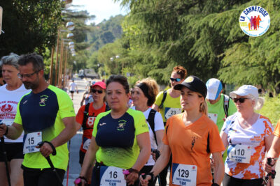 Agrandir l'image 29 sur 44, fenêtre modale