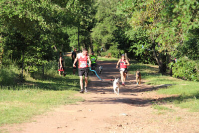 Agrandir l'image 41 sur 44, fenêtre modale