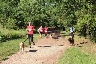 des coureurs sur un chemin de terre accompagnés par leurs chiens. - Agrandir l'image 42 sur 44, fenêtre modale