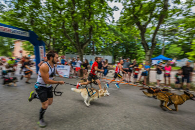 Agrandir l'image 7 sur 21, fenêtre modale