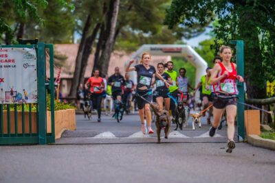 participants à la course canicross et leurs animaux sur le départ. - Agrandir l'image 32 sur 33, fenêtre modale