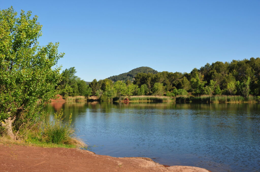 lac canneti situé à la l'entrée de la réserve naturelle de la plaine des maures. - Agrandir l'image, fenêtre modale