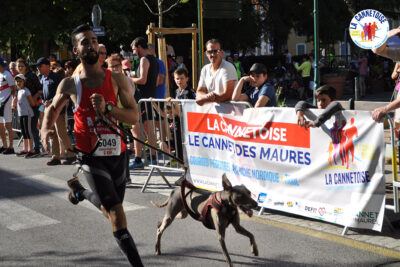 Agrandir l'image 3 sur 44, fenêtre modale