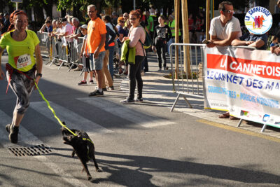 Agrandir l'image 11 sur 44, fenêtre modale