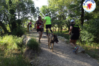 Agrandir l'image 19 sur 44, fenêtre modale