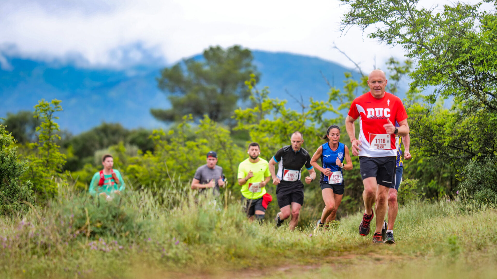 Dans un cadre nature, plusieurs athlètes participent à la course pédestre de La Cannetoise
