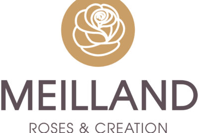 Agrandir l'image 7 sur 8, fenêtre modale