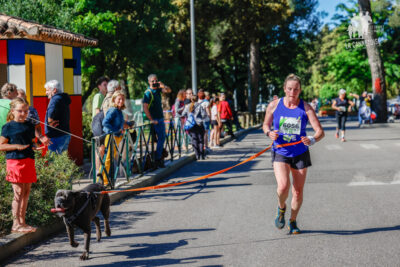 Agrandir l'image 26 sur 55, fenêtre modale