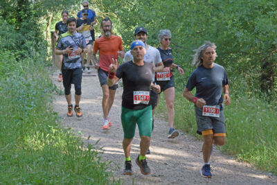 Agrandir l'image 133 sur 259, fenêtre modale