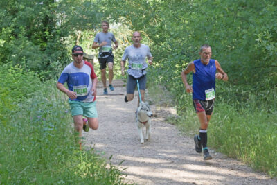 Agrandir l'image 153 sur 259, fenêtre modale