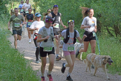 Agrandir l'image 156 sur 259, fenêtre modale