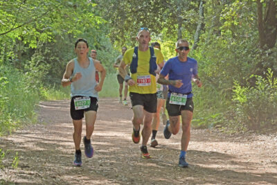 Agrandir l'image 180 sur 259, fenêtre modale