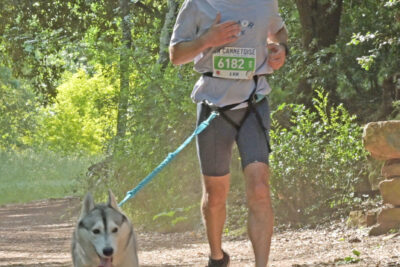 Agrandir l'image 210 sur 259, fenêtre modale