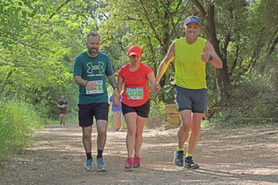 Agrandir l'image 237 sur 259, fenêtre modale