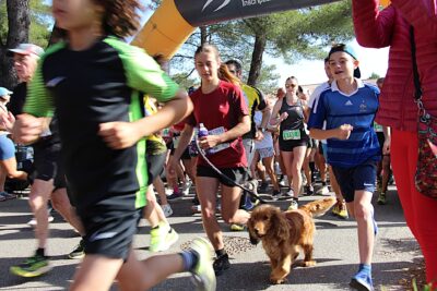 Agrandir l'image 34 sur 259, fenêtre modale